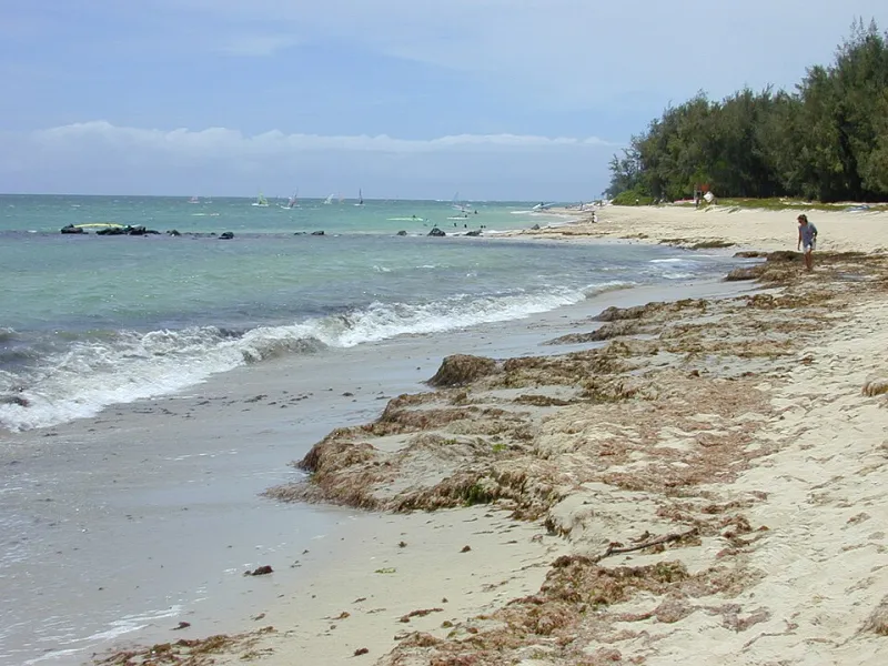 Wind School: The Unwritten Curriculum Passed Down on Maui's Water